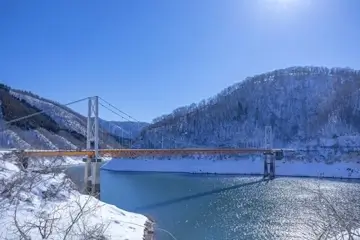 福井県　九頭竜万本桜