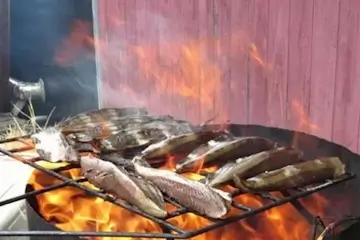 高知県　鰹　藁焼き