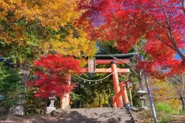 山梨県　富士吉田市 紅葉の新倉富士浅間神社の鳥居